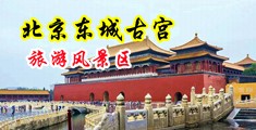 采花郎黄色网站中国北京-东城古宫旅游风景区